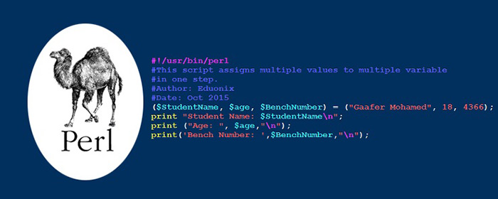 زبان برنامه نویسی Perl