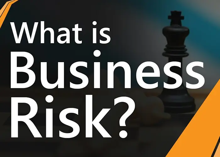 ریسک بیزینس (Business Risk) چیست؟ تعریف، عوامل و مثال ها