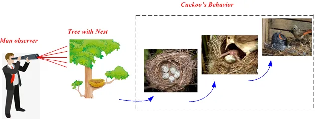 نمایی از رفتار فاخته در طبیعت به عنوان مبنای الهام الگوریتم بهینه ‌سازی فاخته. مردی در حال مشاهده درختی با چند لانه است و در ادامه، مراحل گذاشتن تخم فاخته در لانه پرندگان دیگر و بیرون آمدن جوجه از تخم نمایش داده شده است.