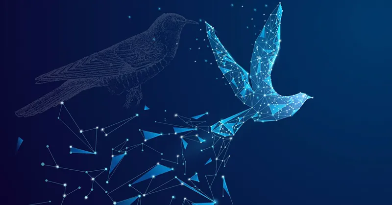 الگوریتم بهینه سازی فاخته در حال جستجوی بهترین پاسخ با استفاده از پرواز لوی و جایگزینی لانه های ضعیف