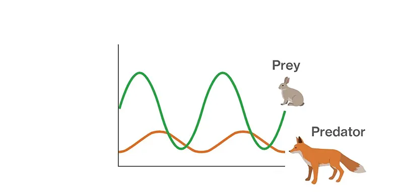 سیستم غیر خطی شکار و شکارچی Predator–Prey