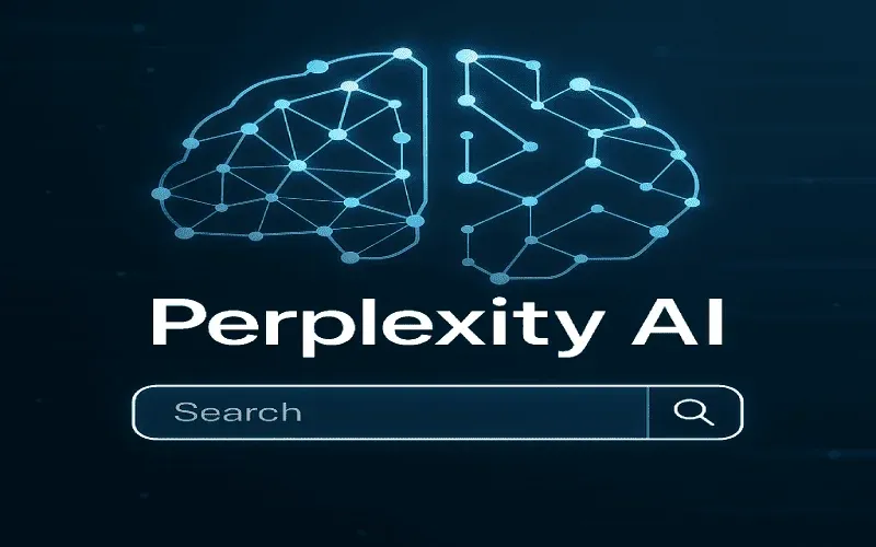 نحوه پردازش اطلاعات perplexity